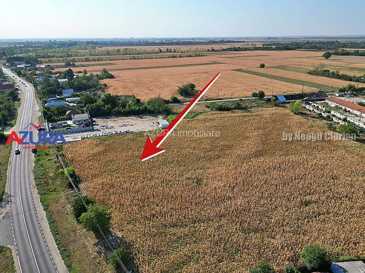 AZURA Imobiliare - Teren la DN7 langa Gaesti, Crangurile - Badulesti - 5