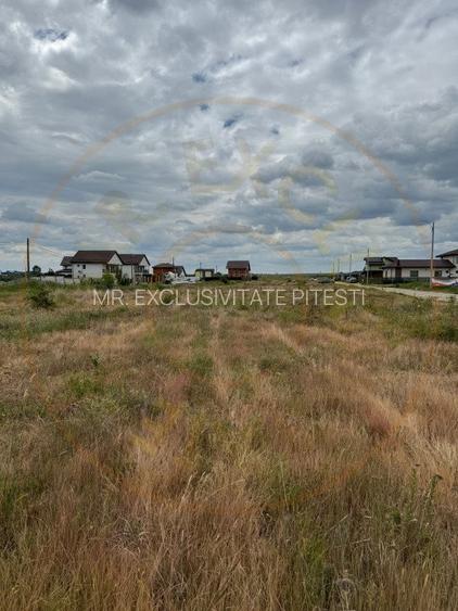 Teren 10.000 mp - Str. Octavian Goga, Craiovei! - 4