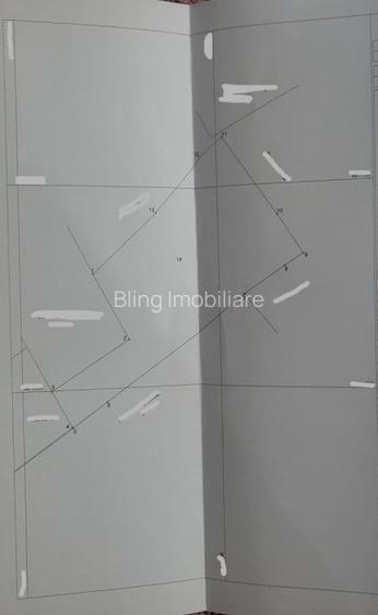 Casa de vanzare Targu Lapus zona centrala cu teren 3800mp si anexe  - 4