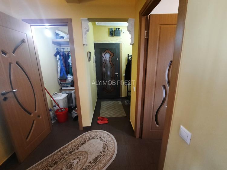 VANZARE 2 CAM  GIRGIULUI- DRUMUL GAZARULUI - 12