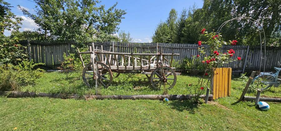 CASA VACANTA-zona pitoreasca minunata - 7