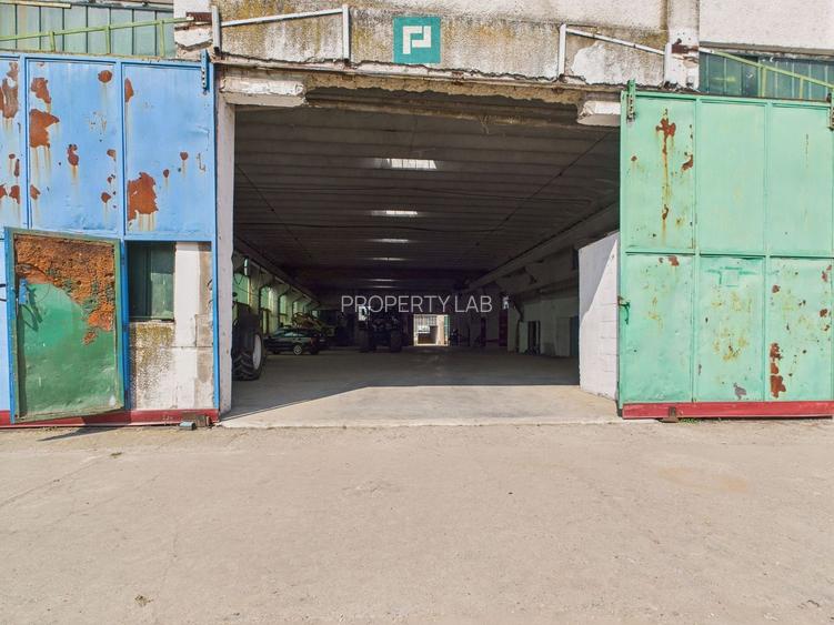 Complex industrial cu hale și teren  în Orțișoara - 6