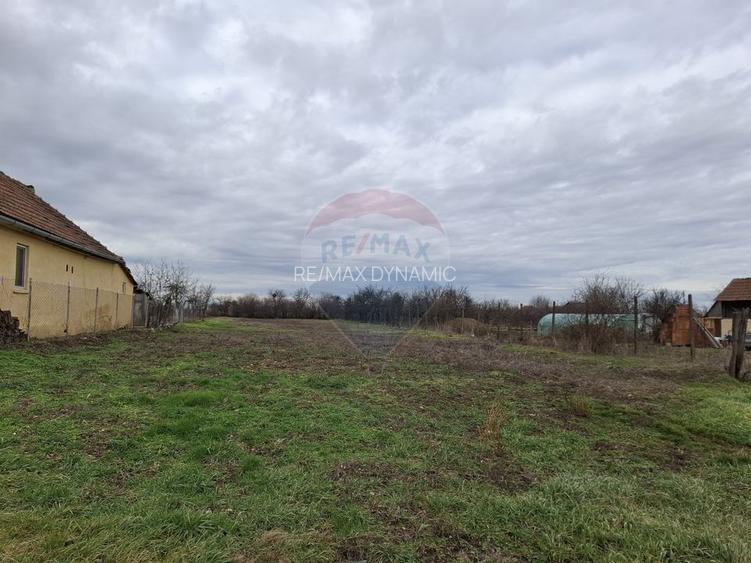 Teren intravilan 1,241mp Frumușeni, Arad - 4