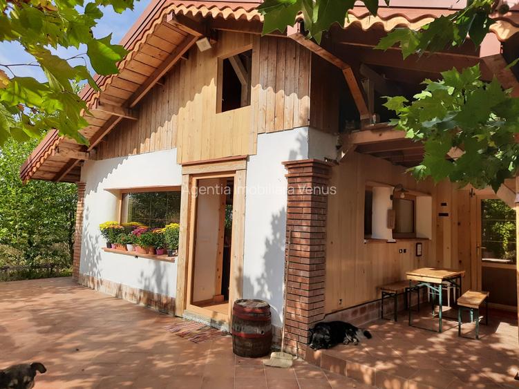 Casa noua cu 6500mp teren si anexe la Hudum - 2