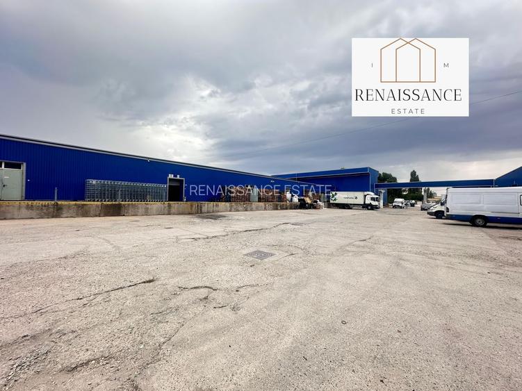 3 Hale Clasa A | 11.250mp Construiti 25.450mp Teren | Freidorf - 13