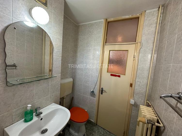 Garsoniera Delfinului 30 mp - 10