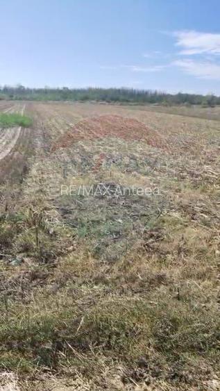 Teren 2,900mp Sat Tantava Strada Tufan - 2