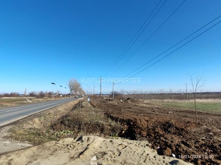 Teren de Vanzare in Balotesti-Moara Vlasiei - 2