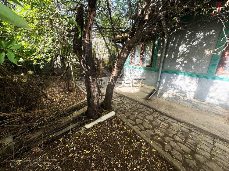 Pantelimon Central - 9