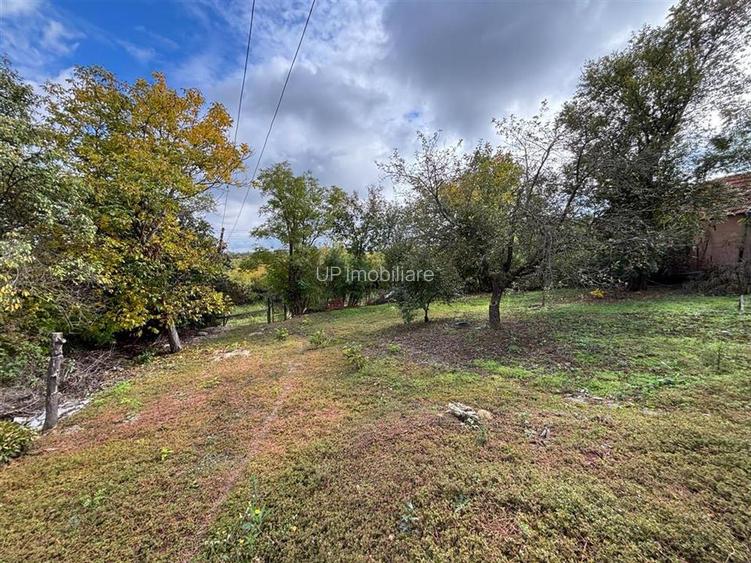 CASA SI TEREN 4.000 MP | SAT TRIA | COMUNA DERNA | JUDETUL BIHOR - 13