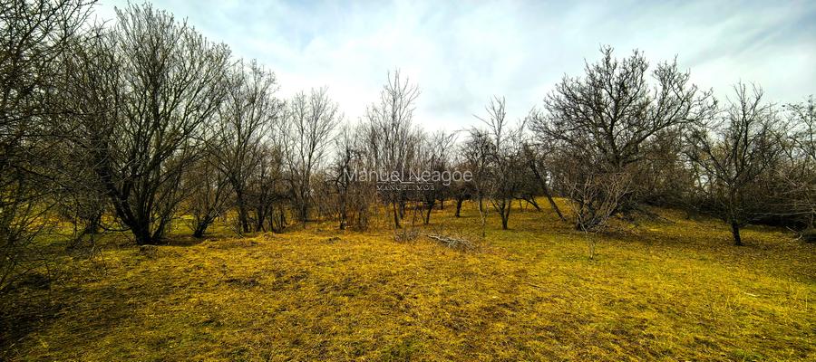 Teren Breaza 2623mp , pot 35% , cut 1,2 conform cert urb.intravilan - 5