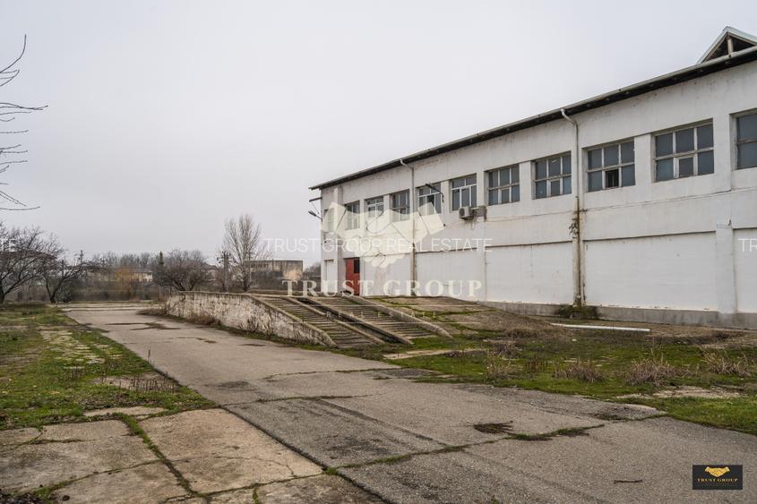 Teren 28.788m + Hale industriale + Sediu Firma  - 38