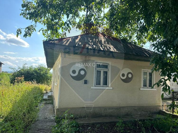 Teren intravilan 3.765 mp cu casă – Bodești de Jos - 10