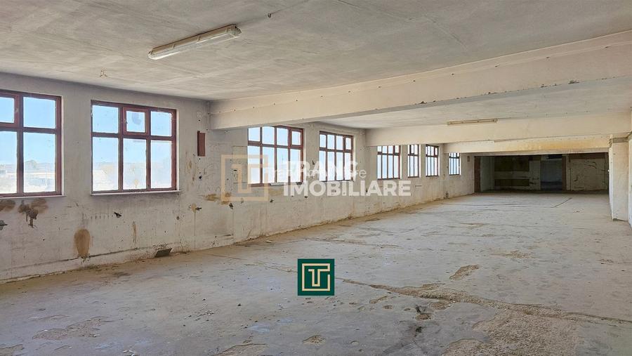 Proprietate multifunctionala - teren generos, cladire si hala in Lugoj - 20