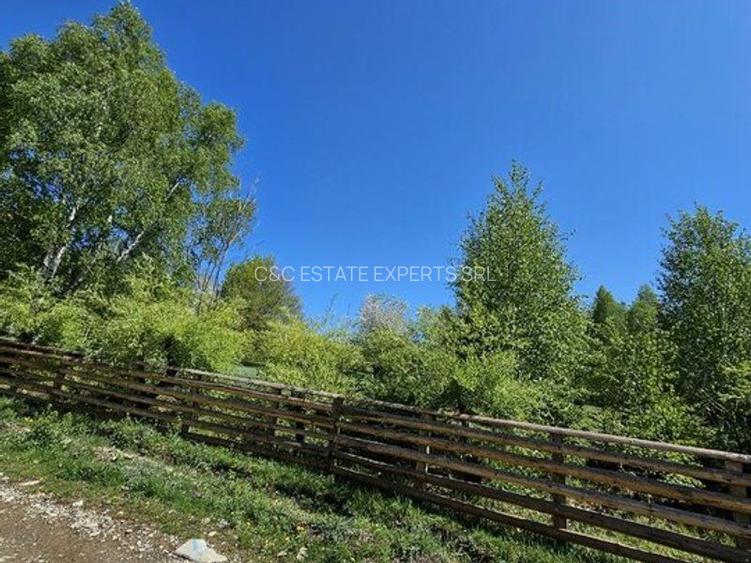 Pensiune in jud. Buzau, loc Ivanetu| Constructie lemn|Pozitionare impresionanta - 56