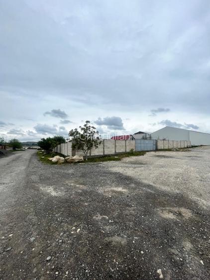 Vand teren intravilan in Lumina vis a vis de Cristi Dezmembrari - 5