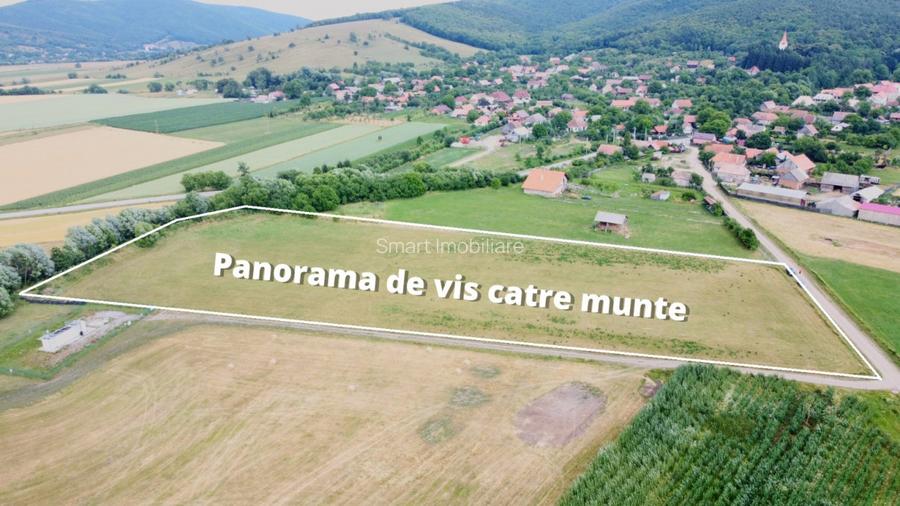 Teren Intravilan 1000 mp Bicfalau - 8