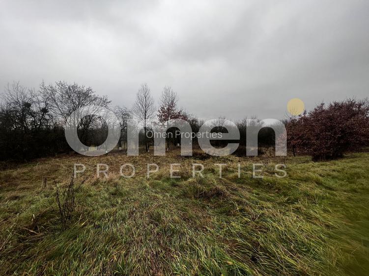 Teren intravilan | 30 ari | front stradal 50 m | investitie ideala | Mocira. - 6