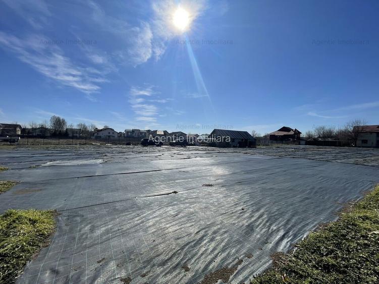 Teren Str. Livezilor - Mogosoaia - Comision 0% - 3