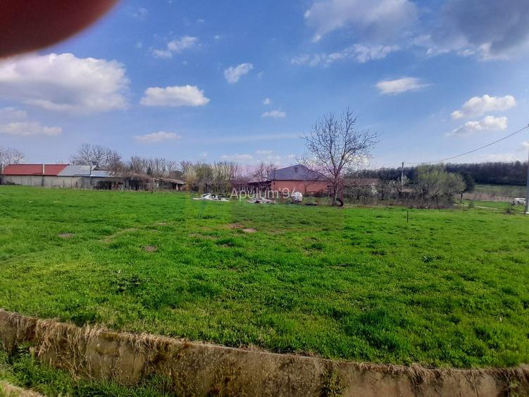 DE VANZARE TEREN 3400 MP IN SAT PODU ILFOVAT / COM BUTURUGENI (GR) - 3