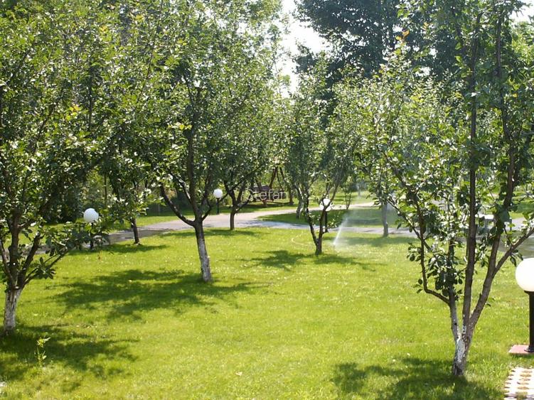 Vila Valea Prahovei Cornu , 15 camere, piscina int.,pretabila camin varstnici - 7