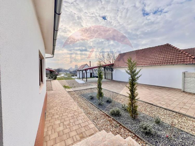 Casă de vânzare în zona Oncea, Str Ion Bogdan, teren 2.000 mp - 19