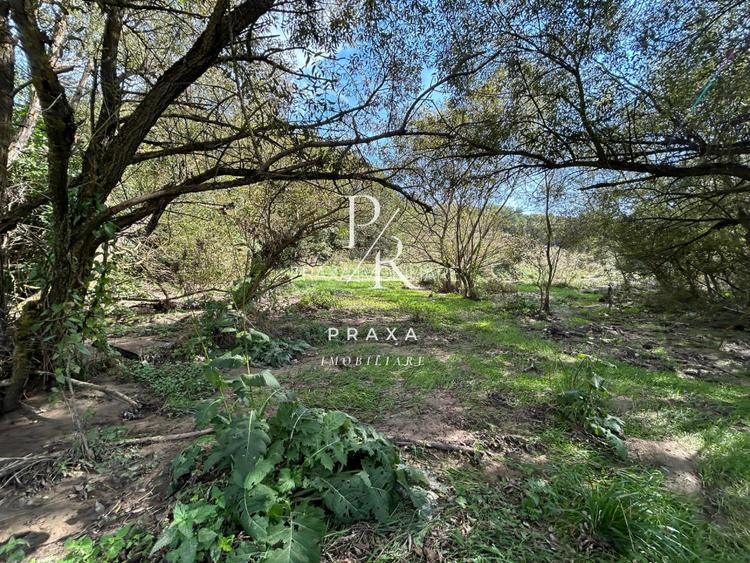 Teren, 6495 mp, Feleacu! Oportunitate exceptionala pentru constructii case! - 4