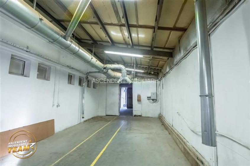 Complex industrial modern,acces dublu, potential apreciabil,Valea Crișului, - 23