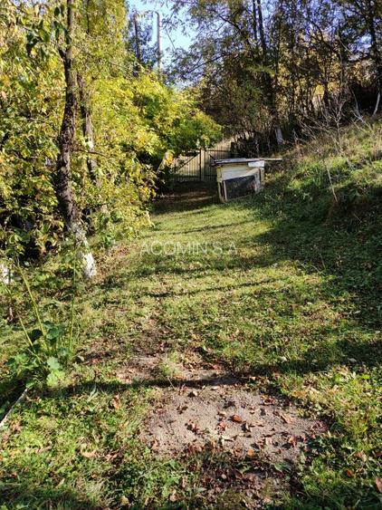 TEREN INTRAVILAN CABANA SI DEPOZIT DE UNELTE - 2