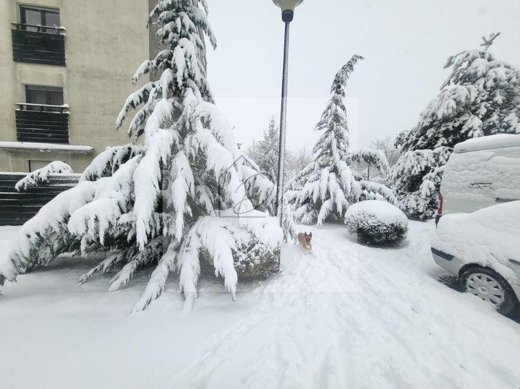 Apartament 3 camere Natura Residence I Baneasa Iancu Nicolae I COM 0%