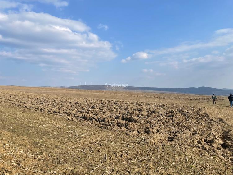 Casa  Batraneasca 100 MP + teren intravilan 400 MP , 4500 MP extravilan - 14