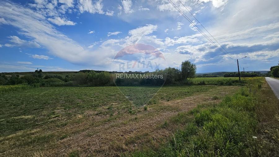 Teren extravilan 12000 mp- Pădureni-Șendriceni, Botoșani - 4