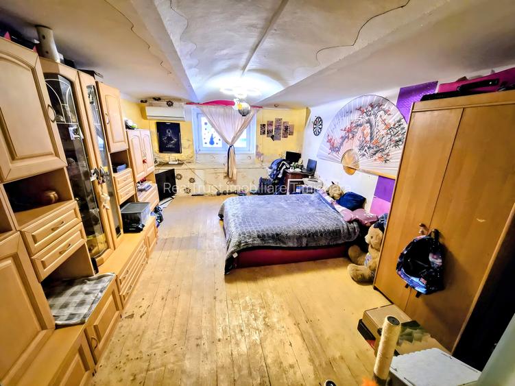 Apartament cu 1 cameră, zona Bălcescu, spațios, cu grădină - 9