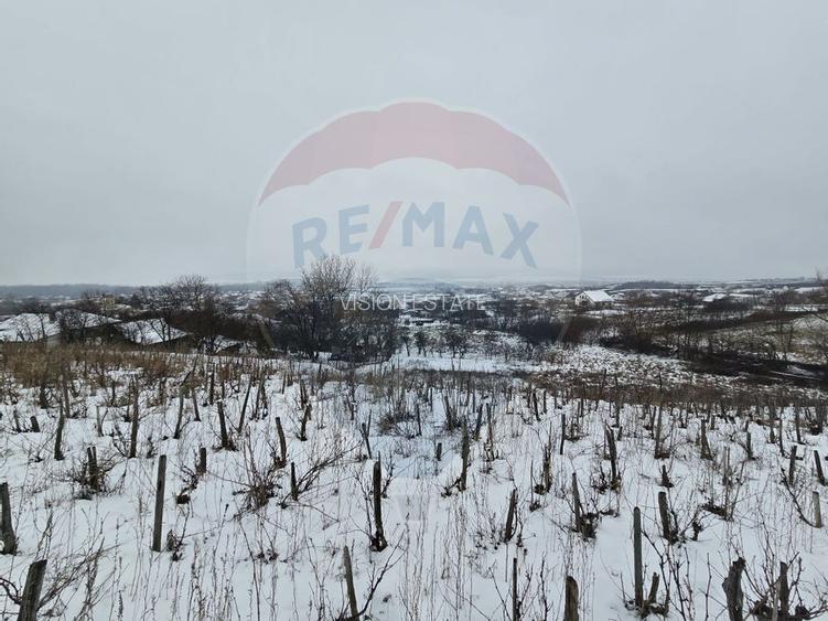 Teren intravilan 7000 mp Simnic, Izvor - 2