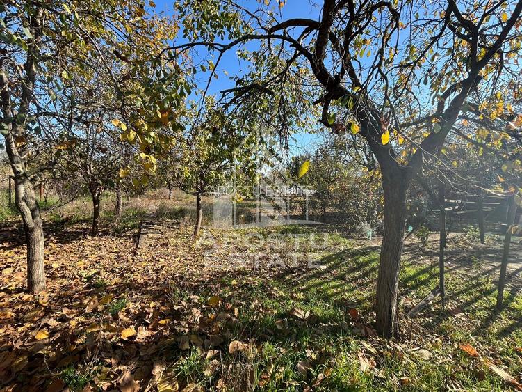 Casa individuala , cu garaj si teren de 856 mp in Ghisoda - 4