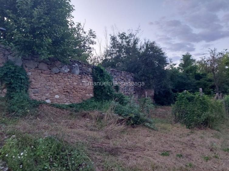 Casa Goruia cu teren,gradina,livada de pruni si pădure  - 4
