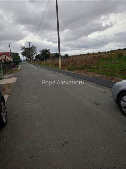 Proprietar ,teren intravilan 1000mp ,Str. Islazului ,Valu Lui Traian - 5