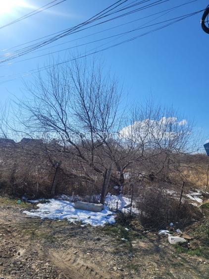 EXCLUSIVITATE! TEREN UNICAT 5831MP ZONA MAMAIA NORD - 11