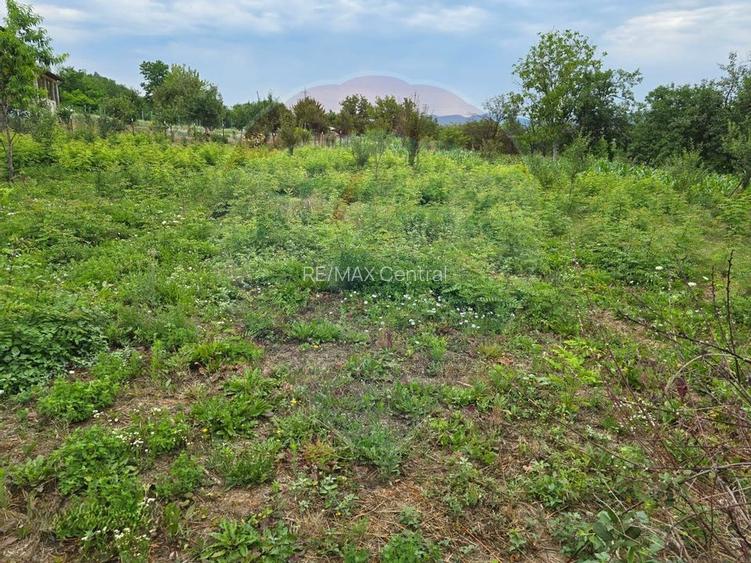 Comision 0! Casa din inima Subcarpaților — comuna Cislau, teren 5000mp - 24