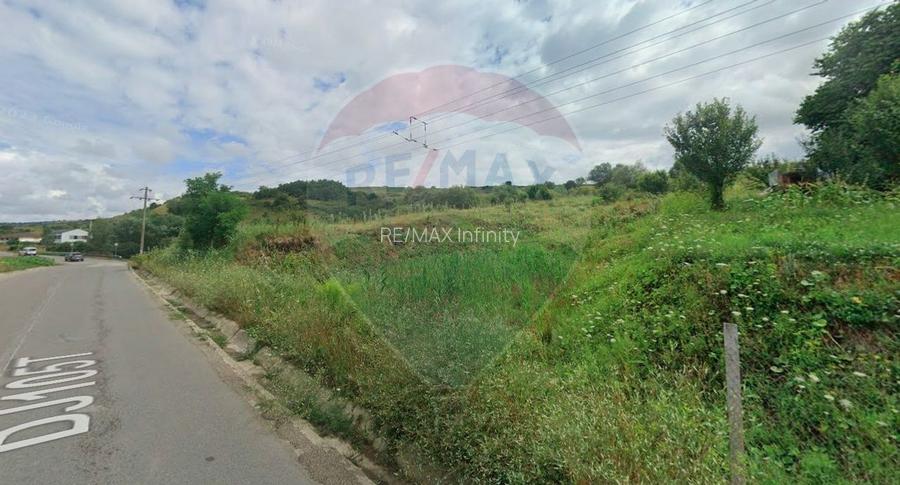 Teren de vanzare 68.463 mp Popesti Extravilan Potential rezidential - 4