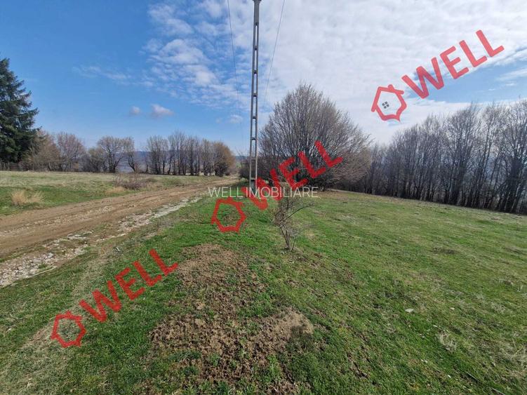 De vânzare teren extravilan în localitatea Brădet! - 12