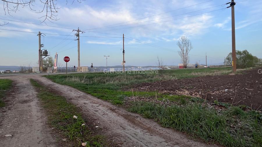 Teren 50000mp Extravilan-Intrare Halchiu-Cod 5235 - 6