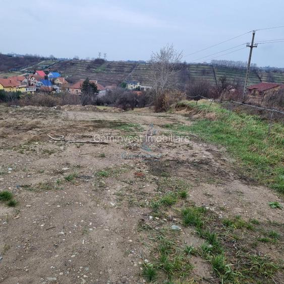 Vanzare Teren intravilan 3133 mp strada Sofiei, Oradea, Bihor - Exclusivitatate - 5