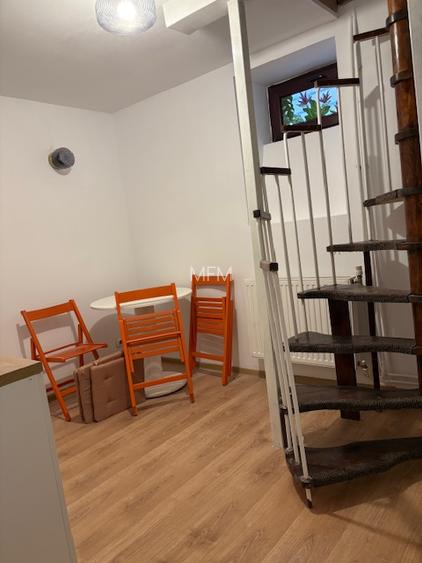 Ultracentral, langa parc, curata, utilata complet - 11