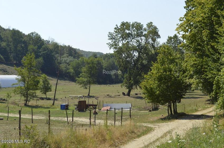 Bogati - Glimbocel, Ferma Zootehnica, Cladiri 1996 mp, Teren 4.89 ha - 19