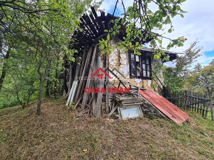 Teren intravilan in Sotrile--1671m--13e - 5