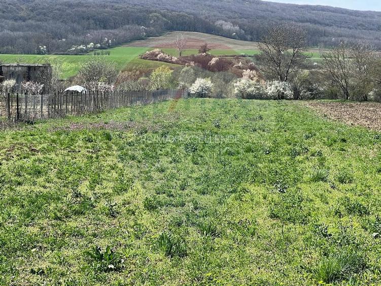 Teren 4,486mp Iordacheanu / Strada Principala - 2