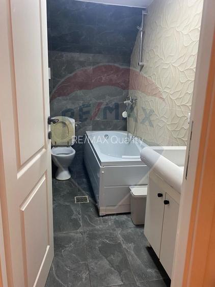 Vila de închiriat–Calea Moșilor /133 mp utili+60 Curte proprie - 23