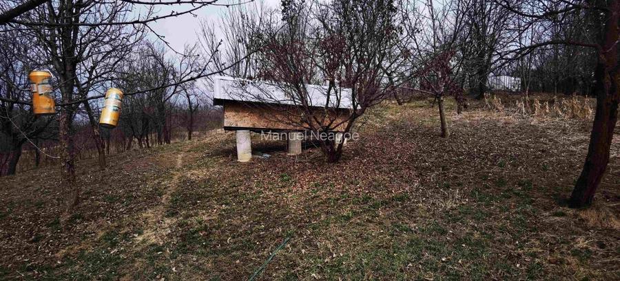 Super proprietate langa Breaza  cu teren  5000Mp , structura solida , cazemata - 7