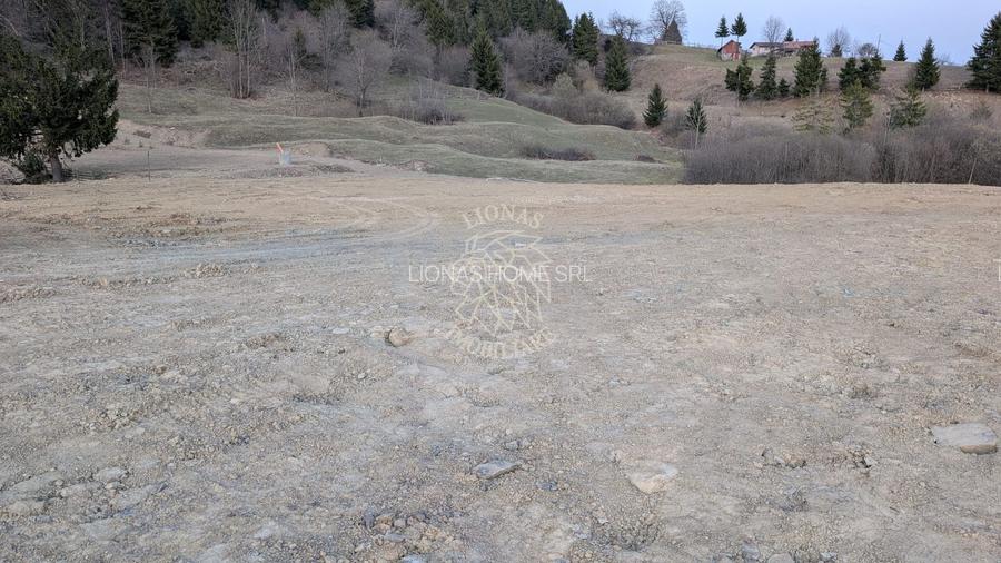 Teren 551 mp - ideal Cabana turistica- utilitati-panorama lac Colibita - 8